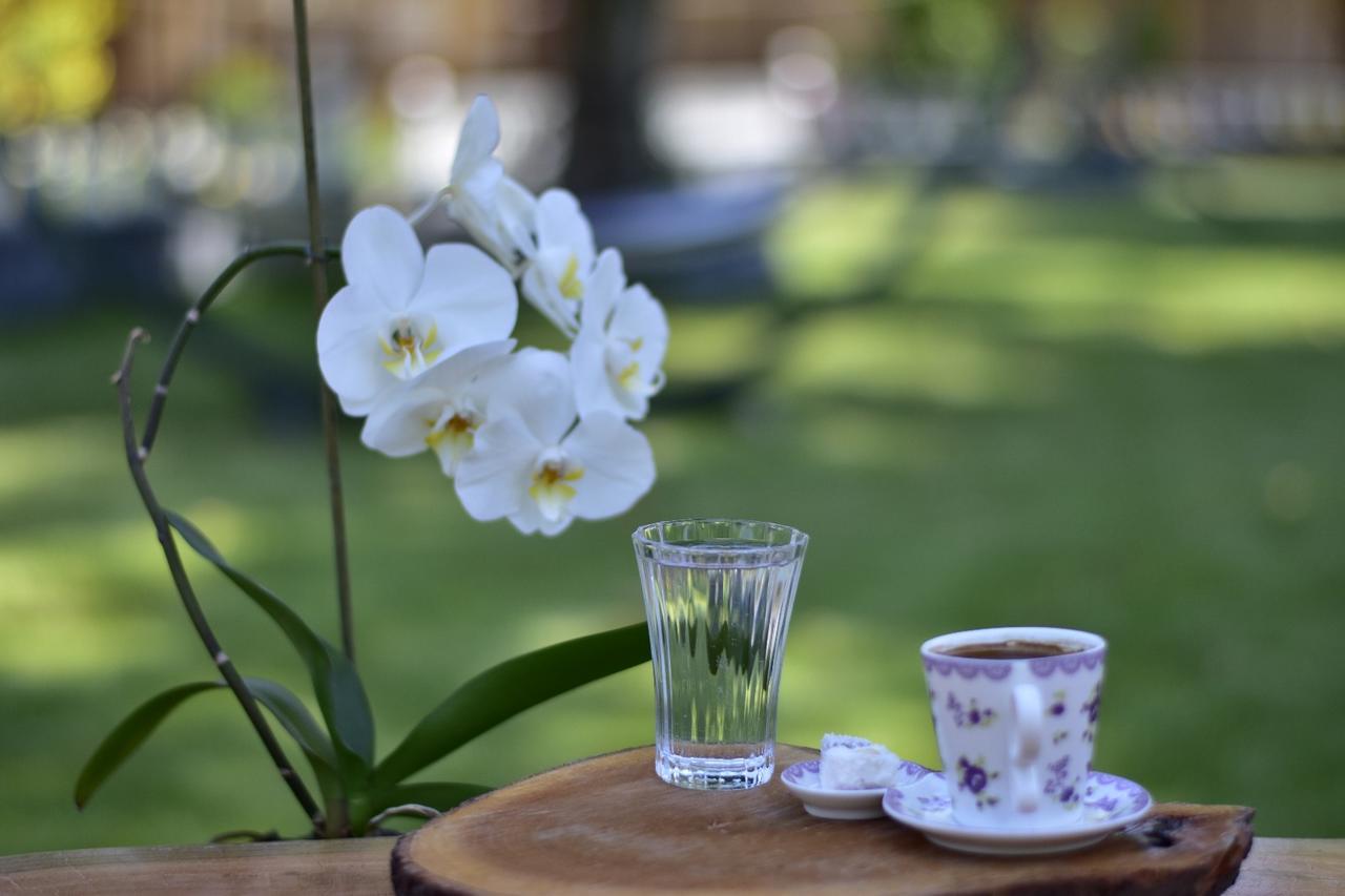 Likya Adrasan 호텔 외부 사진